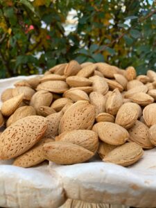 Paper Almond with shell (1kg)
