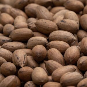 Pecan Nut